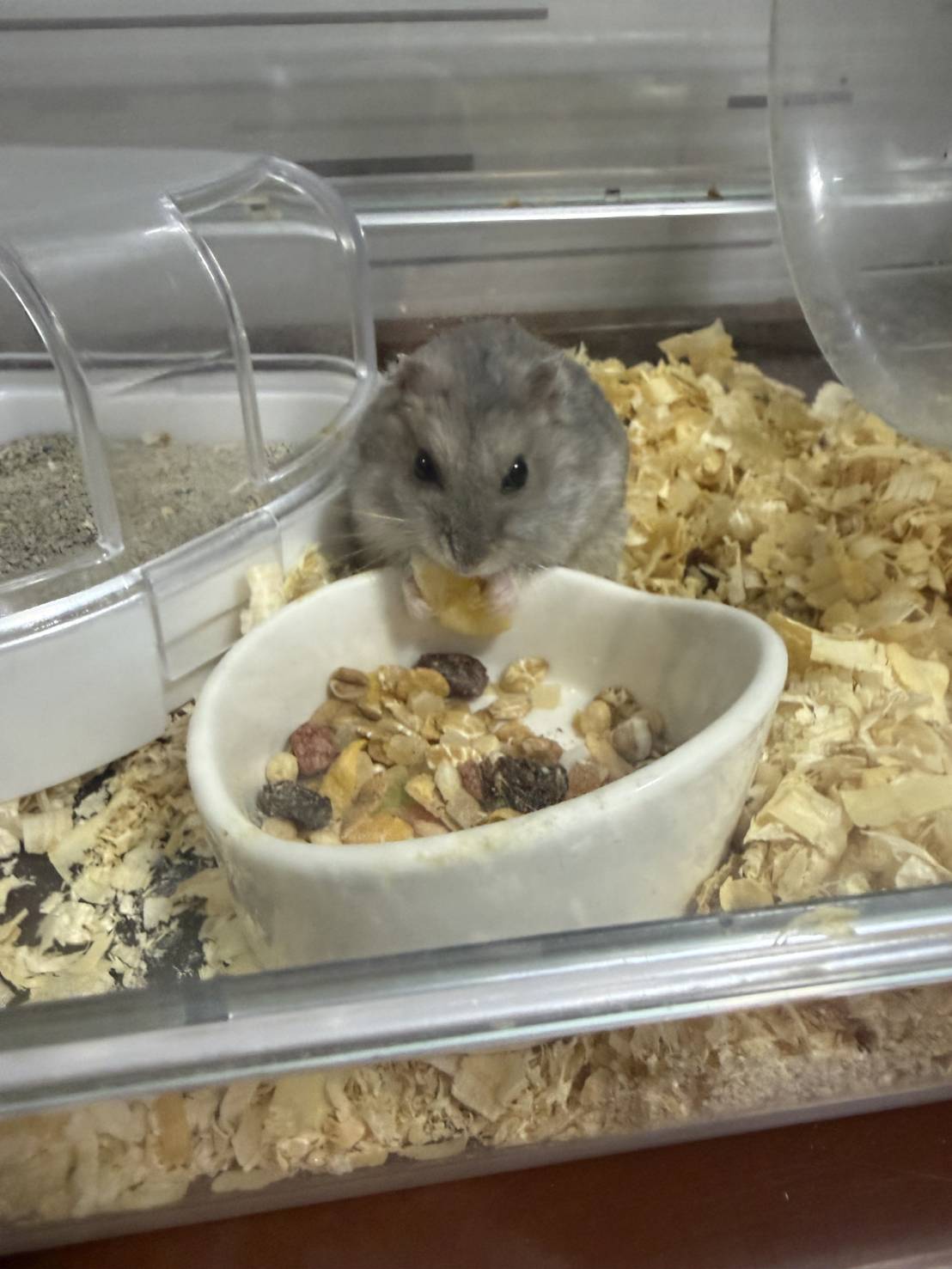 ミンのアバター