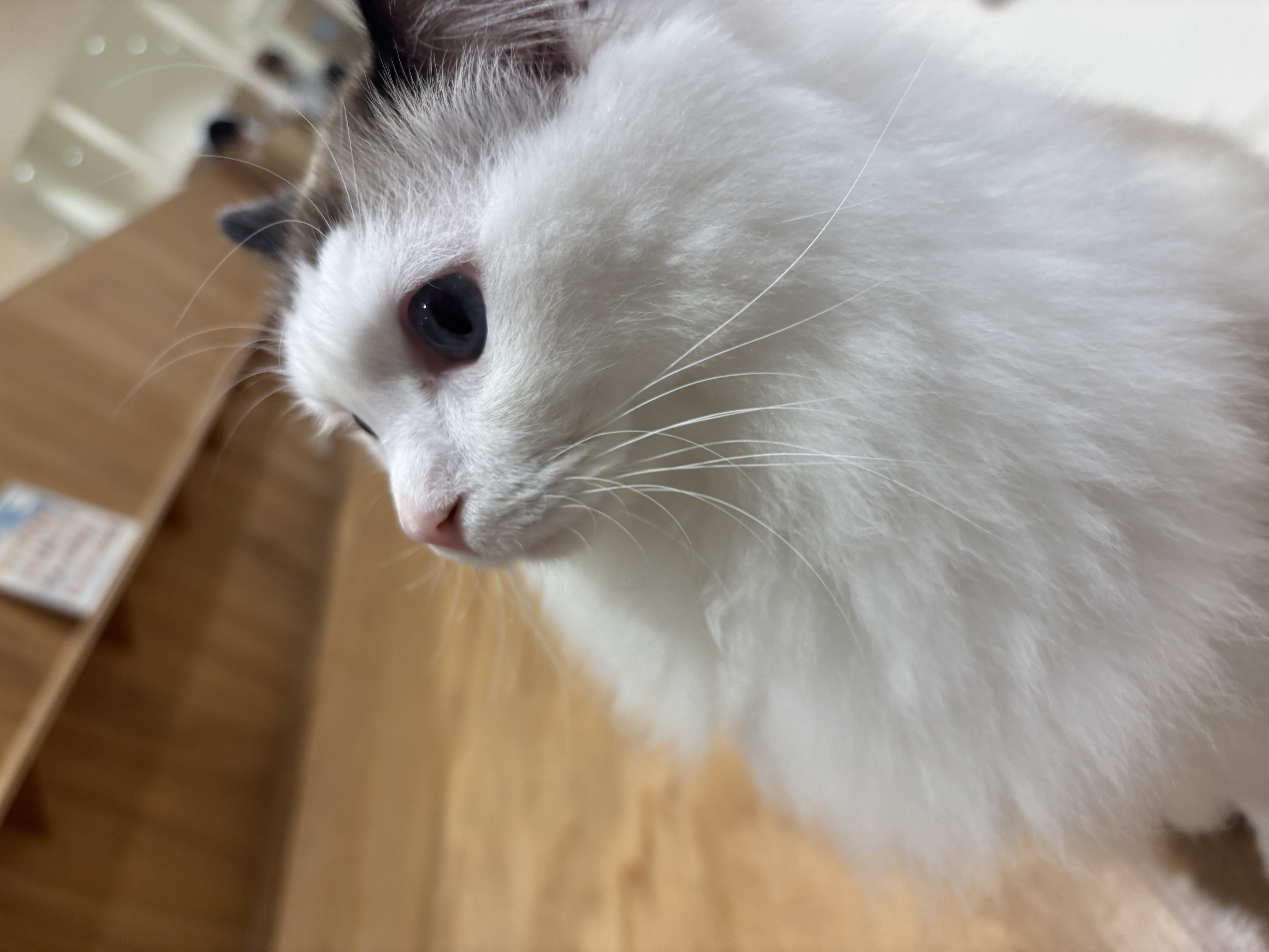 kのアバター