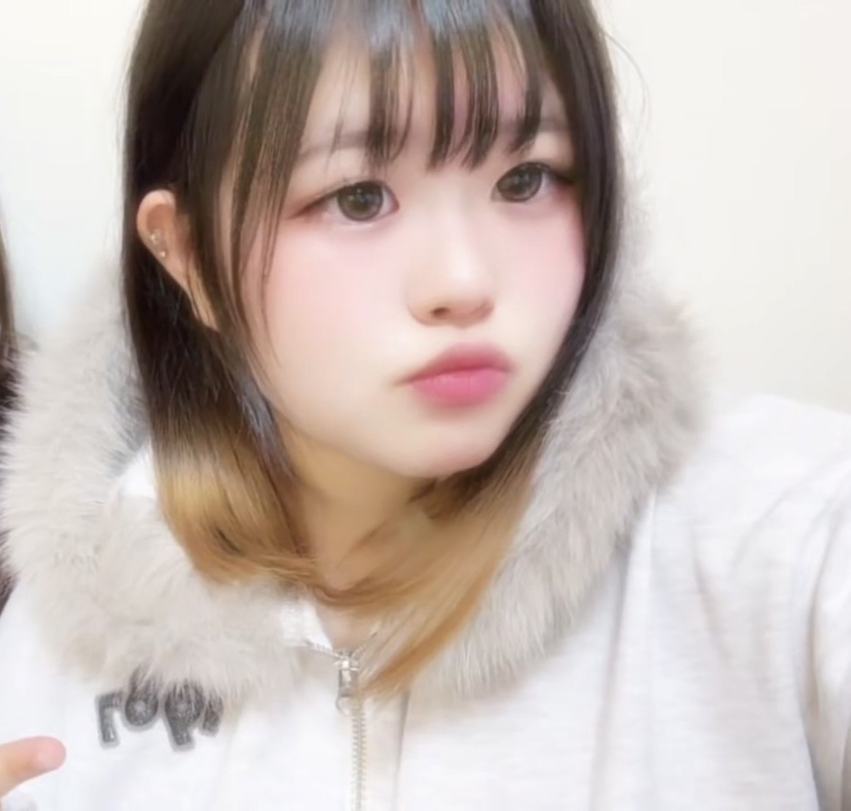 Pinoฅ^•ω•^ฅのアバター