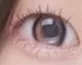 OLENS 1day