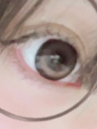 MOLAK MOLAK 1dayの着画・着用レビュー写真 by ょ （2/2）