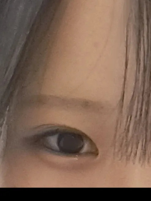 EverColor 1day Naturalのレビュー: 自然だけど目に光入らない笑