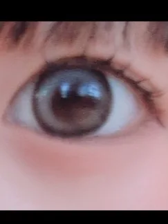 フォググレー🩶