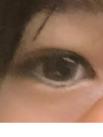 でかいよ！！