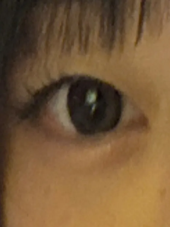 EverColor 1day Naturalのレビュー