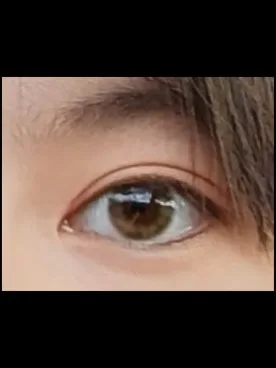 perse 1dayのレビュー
