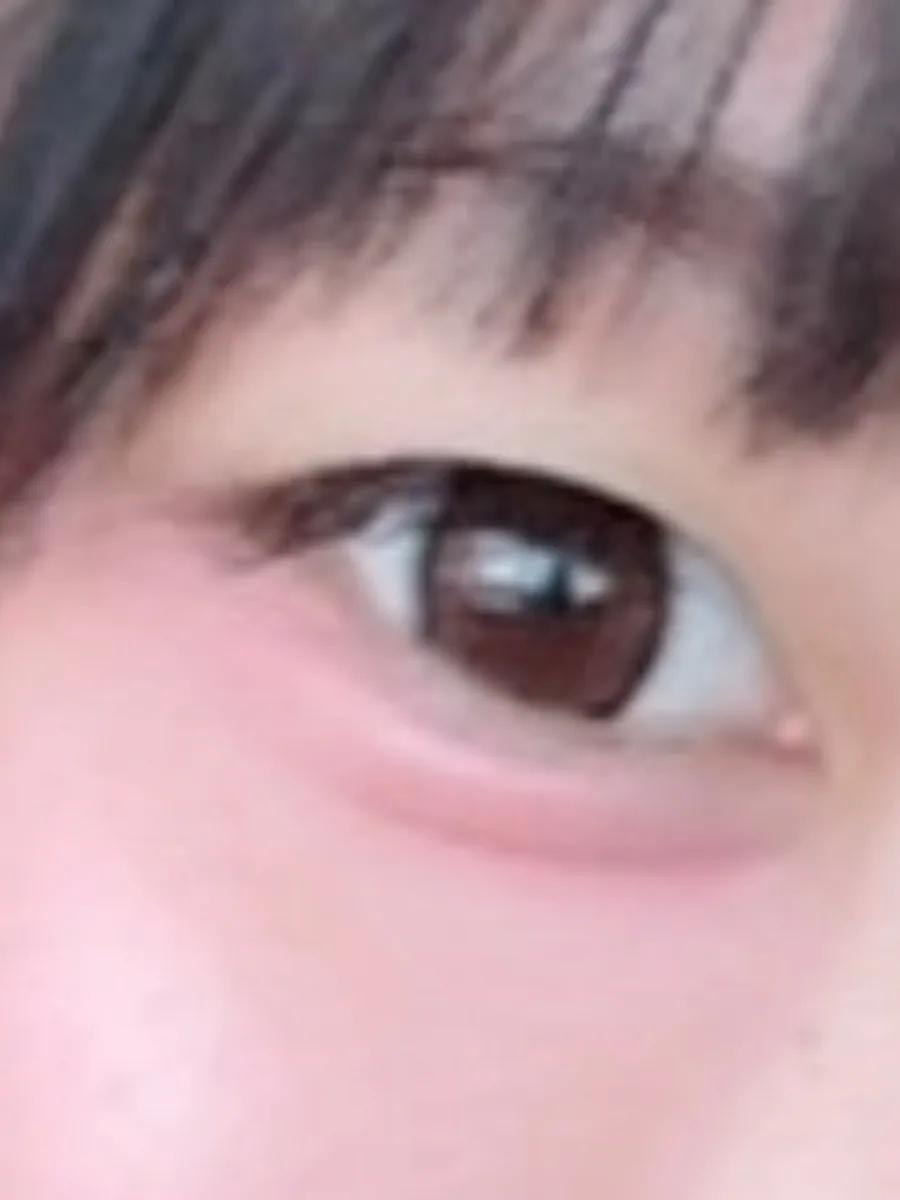 Chapun 1dayのレビュー