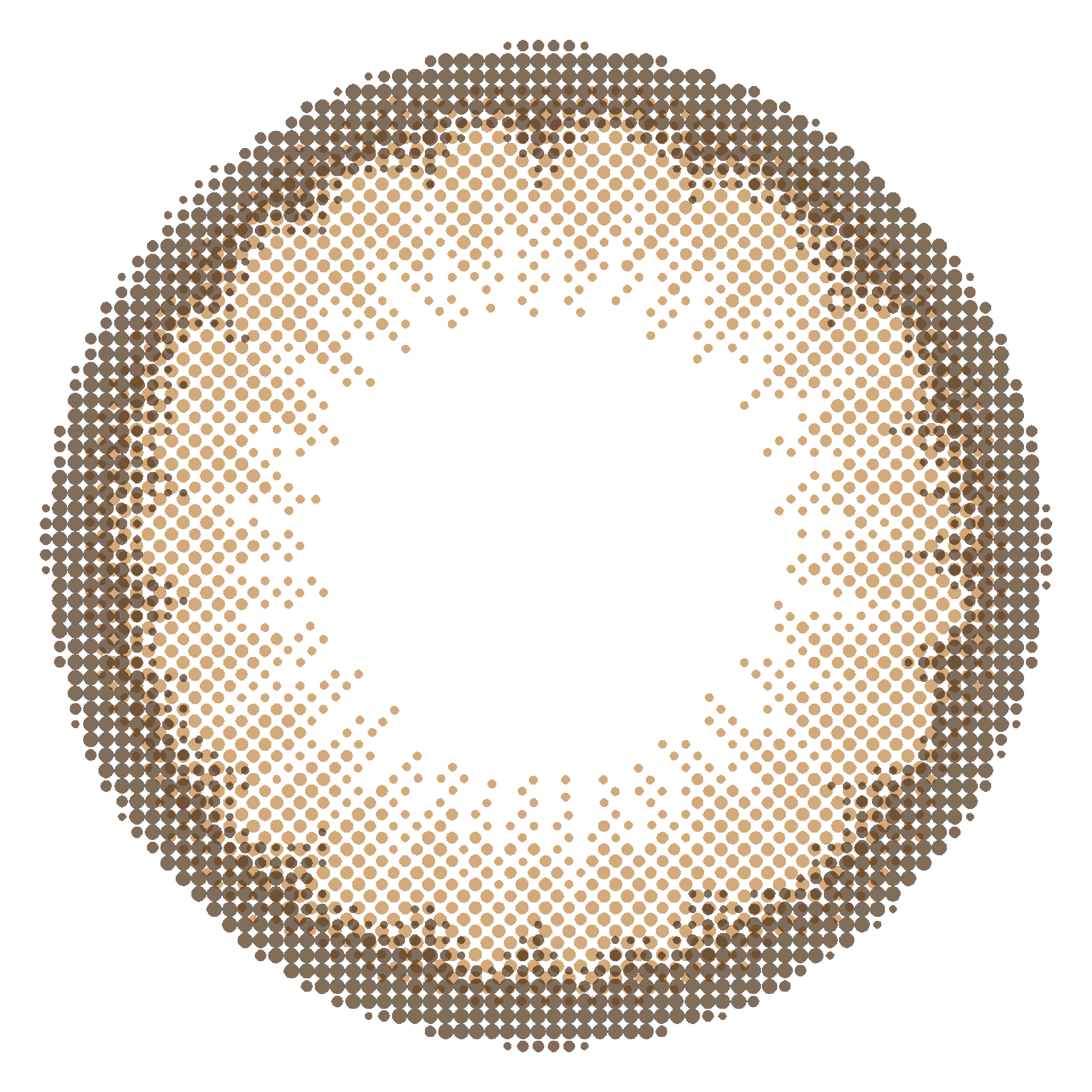 Chipi 1MONTH ソフィーブラウン (Sophie Brown)のレンズ画像