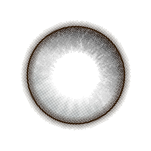 perse 1day コアラグレーのレンズ画像